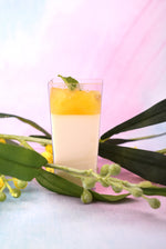 Panna Cotta Shooters